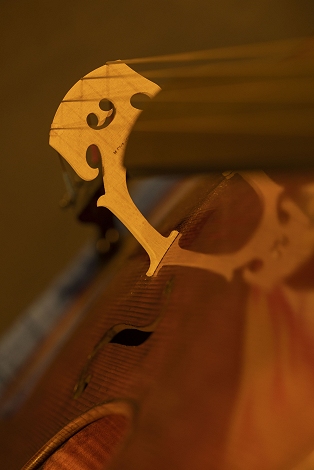 �}�W�R �N�����i civa �`�F�� �`�[���@