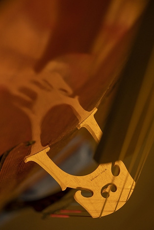 �}�W�R Cremona civa Cello �`�[���@