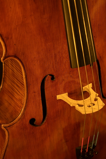 �}�W�R �N�����i civa �`�F�� �`�[���@