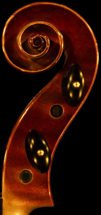 Violin Sacconi Roma Italy MAGICO