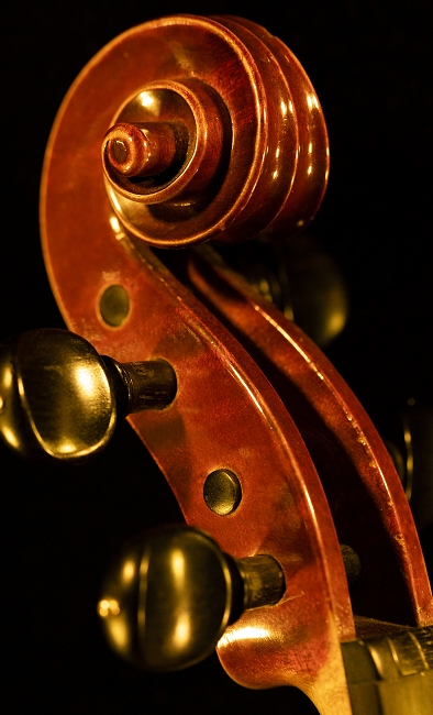 Violin Sacconi Roma Italy MAGICO