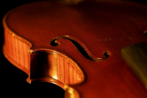 Violin Sacconi Roma Italy MAGICO