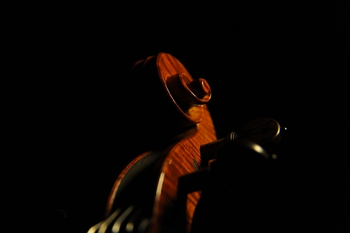 ヴァイオリン マジコ イタリア製
