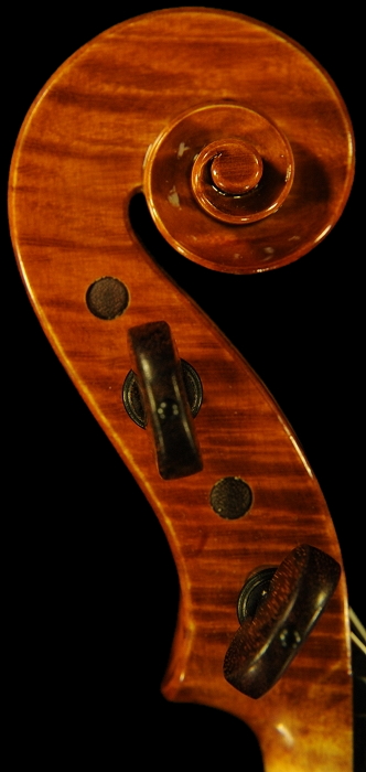 �o�C�I���� �C�^���A �}�]�b�e�B �}���g���@