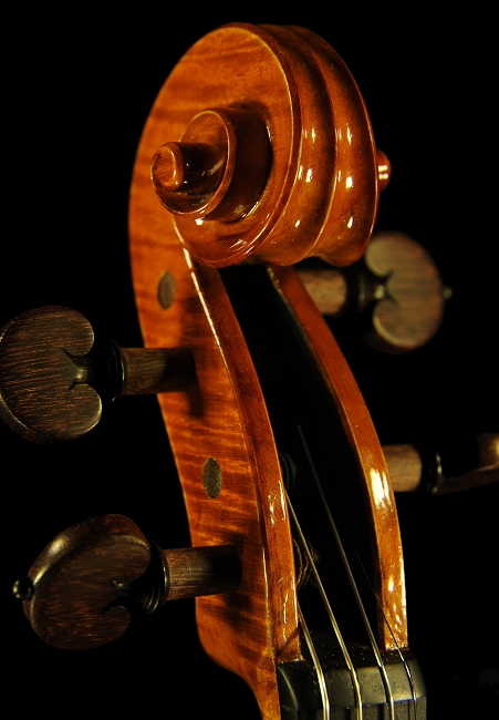 �o�C�I���� �C�^���A �}�]�b�e�B �}���g���@