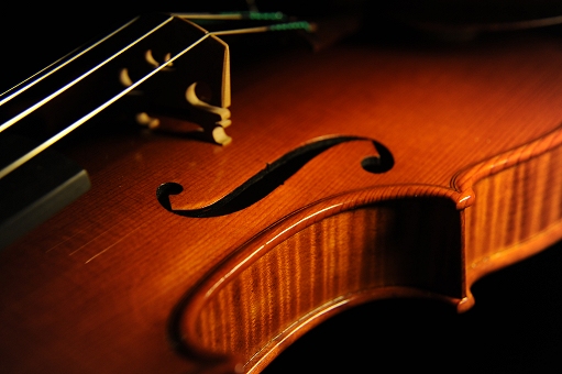 �o�C�I���� �C�^���A �}�]�b�e�B �}���g���@