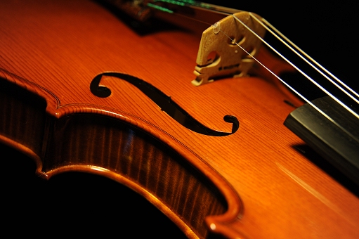 Violin mazzotti piacenza Italy MAGICO