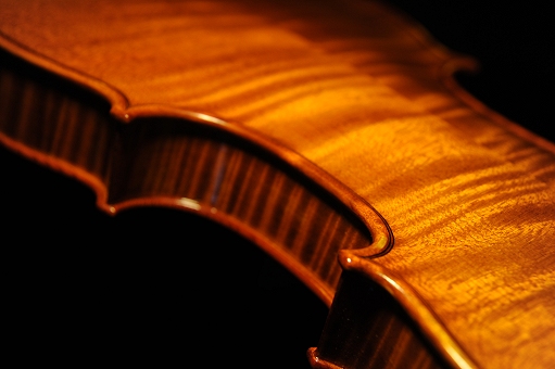 �o�C�I���� �C�^���A �}�]�b�e�B �}���g���@