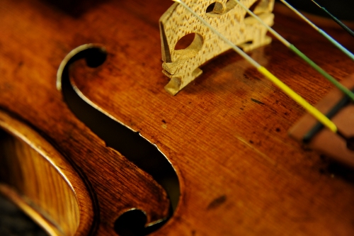 �o�C�I���� �X�g���h �}�W�R