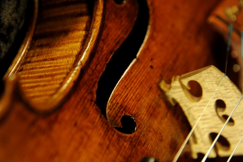 Stradivari Violin Scroll