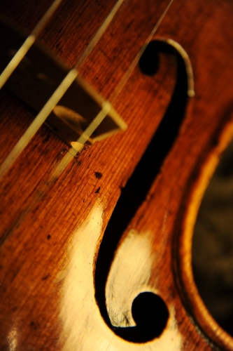 Stradivari Violin 名器