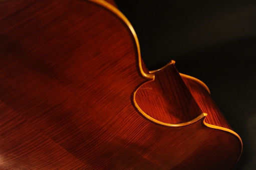 Locatelli Cello Ni MAGICO