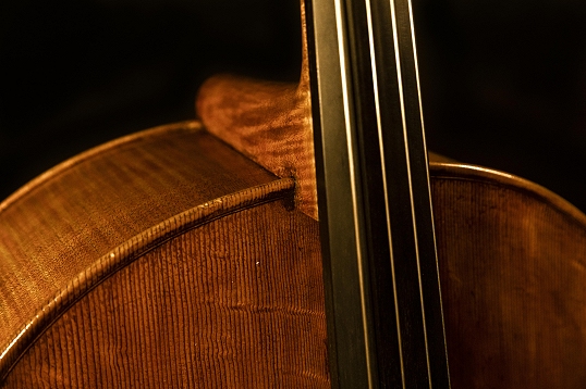 Commendulli Cremona MAGICO Cello