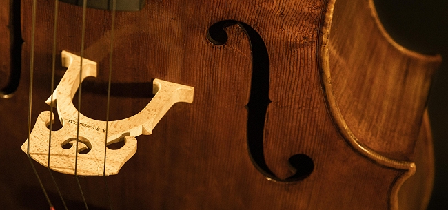 �`�F�� �R�����h�D�b�� �}�W�R �C�^���A