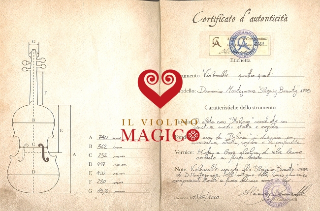 �`�F�� �R�����h�D�b�� �}�W�R �C�^���A