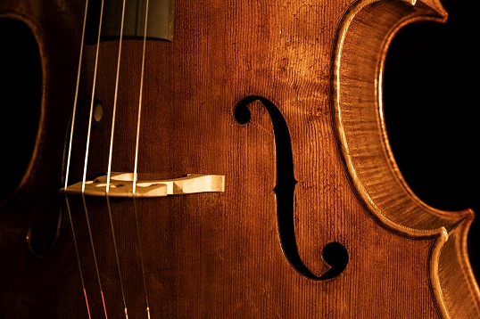 �`�F�� �R�����h�D�b�� �}�W�R �N�����i �C�^���A