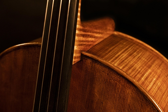 �`�F�� �R�����h�D�b�� �}�W�R �N�����i �C�^���A