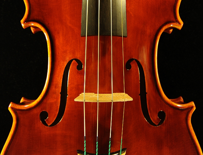 violin Palayer MAGICO ITALIA