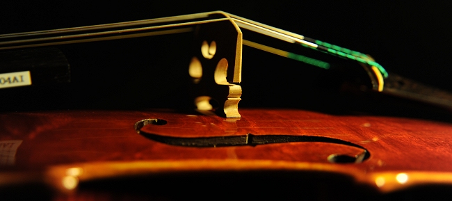 violin Palayer MAGICO ITALIA