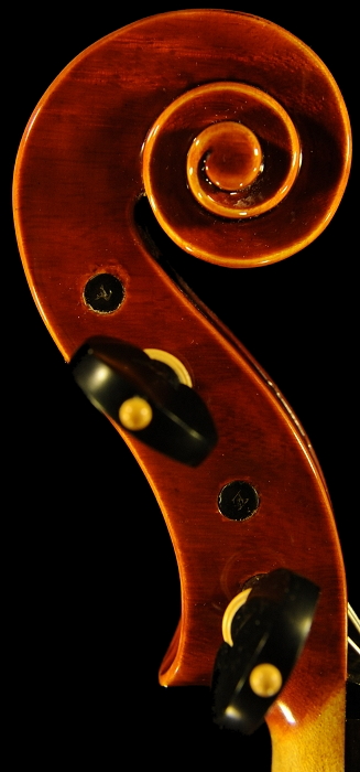 Palayer �p���C�G �o�C�I���� �}�W�R �C�^���A