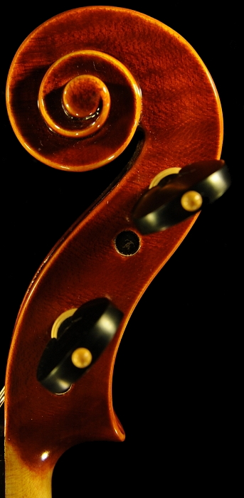 �o�C�I���� Palayer �}�W�R MAGICO �C�^���A