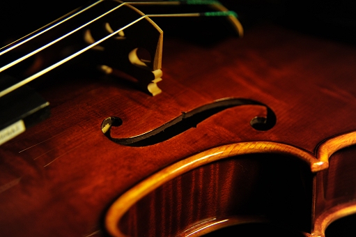 Palayer �p���C�G �o�C�I���� �}�W�R �C�^���A