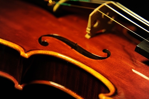 �o�C�I���� Palayer �}�W�R MAGICO �C�^���A