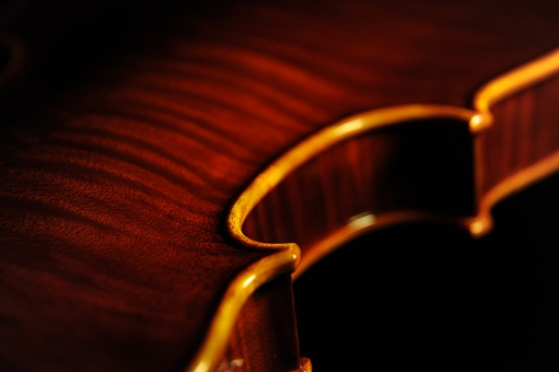 Palayer �p���C�G �o�C�I���� �}�W�R �C�^���A