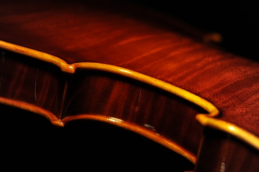 �o�C�I���� Palayer �}�W�R MAGICO �C�^���A