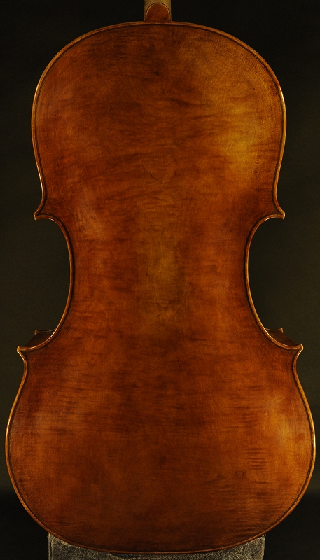 Stefano Marzi Cello