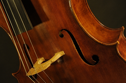 Stefano Marzi Cello liutraio