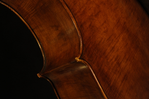 Stefano Marzi Cello liutraio