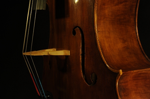 �`�F�� �}���c�B �}�W�R �`�F��