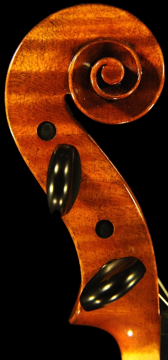 �}�W�R �t�F���[�� �o�C�I���� ���K�i ����ҋ���