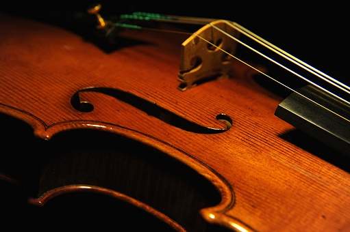 magico �t�F���[�� �o�C�I���� �N�����i �C�^���A