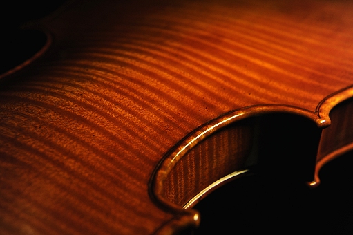 magico �t�F���[�� �o�C�I���� �N�����i �C�^���A