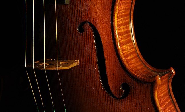 magico �t�F���[�� �o�C�I���� �N�����i �C�^���A