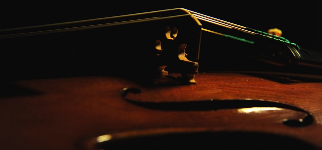 magico �w�� �o�C�I���� �N�����i �C�^���A