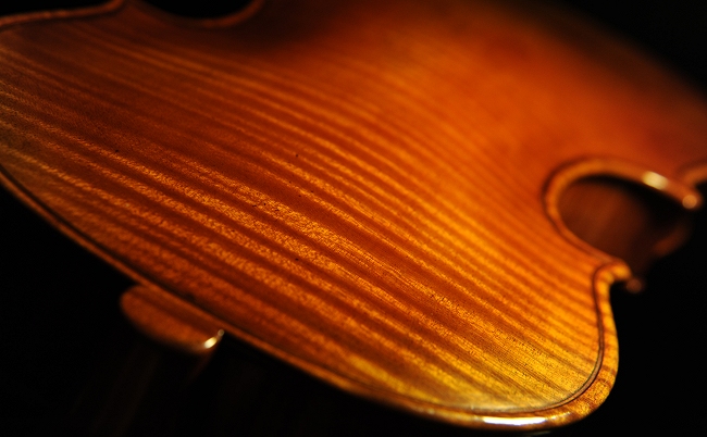 �}�W�R �t�F���[�� �̔� �o�C�I���� ���K�i ����ҋ���