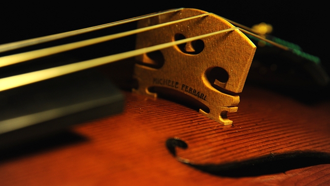 �}�W�R �t�F���[�� �̔� �o�C�I���� ���K�i ����ҋ���