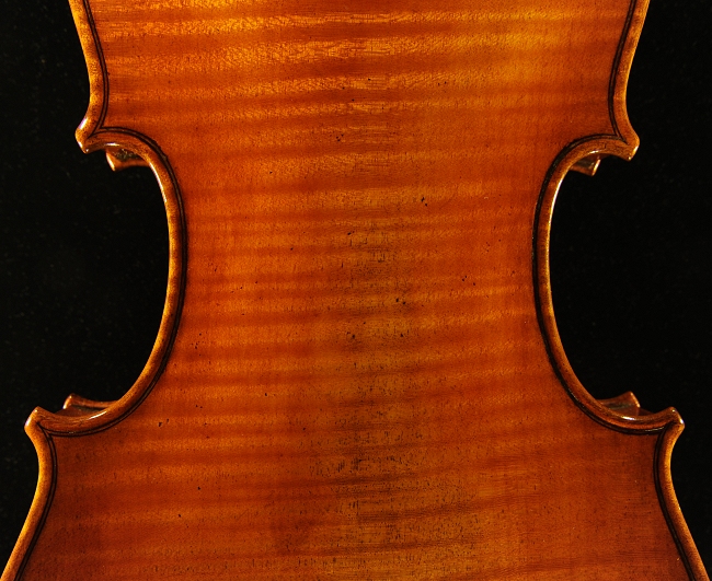 �}�W�R �t�F���[�� �̔� �o�C�I���� ���K�i ����ҋ���