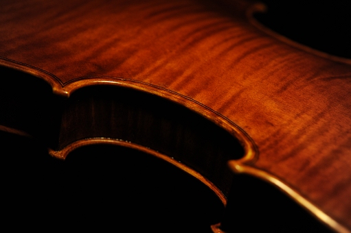 �o�C�I���� ���F�b�g�[�� �C�^���A �}�W�R