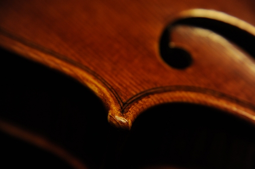 Dario Vettori Violin Italy MAGICO