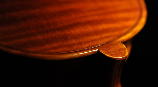 Liutaio Fiorentino Violini �}�W�R