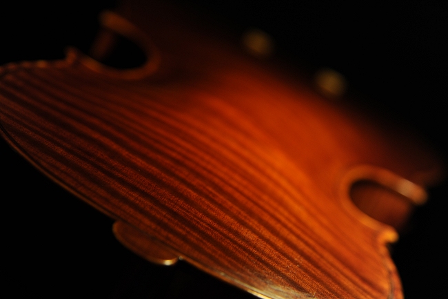 MAGICO Violin Italy Vettori