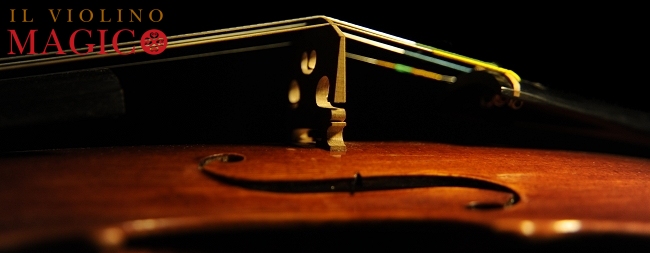 Liutaio Fiorentino Violini �}�W�R