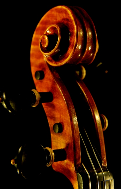 �o�C�I���� ���F�b�g�[�� �C�^���A �}�W�R