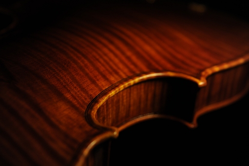 Dario Vettori Violin Italy MAGICO