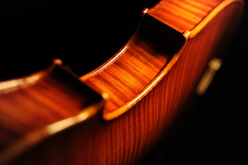 Violin Gambarin Mantova Italy MAGICO