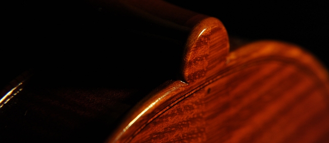 ���@�C�I���� Gambarin Alessandro Italy MAGICO